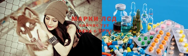а пвп мука Богданович