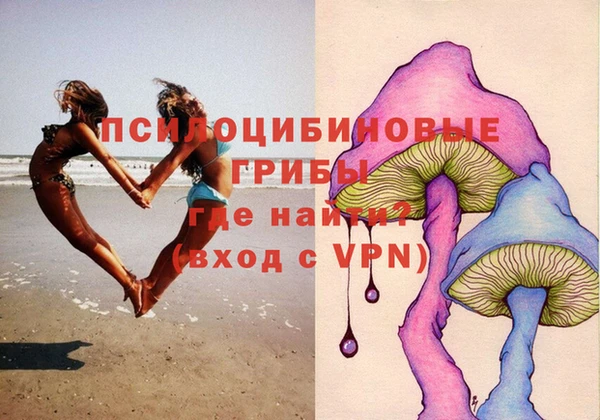 первитин Богородицк