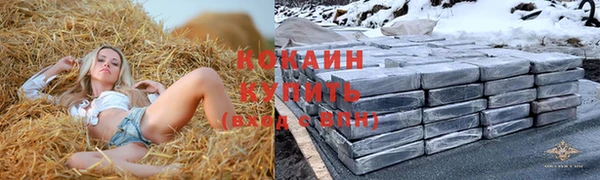 мяу мяу мука Баксан