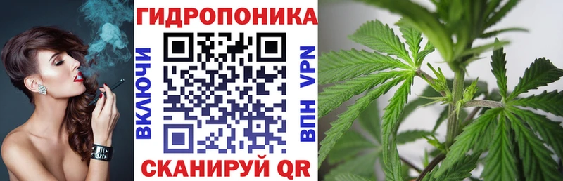 omg вход  хочу   Кстово  Конопля Bruce Banner 